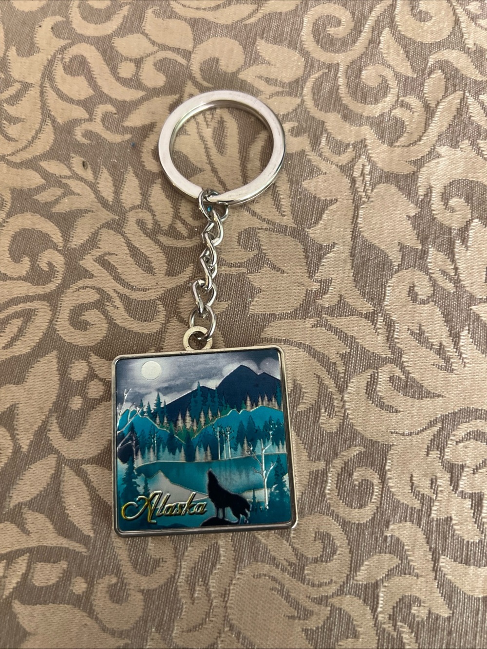 Beautiful Alaska Keyring Keychain Coyote Mountains Travel